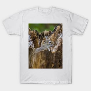 Red Squirrel T-Shirt